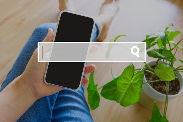 キーワードを入力して検索する人