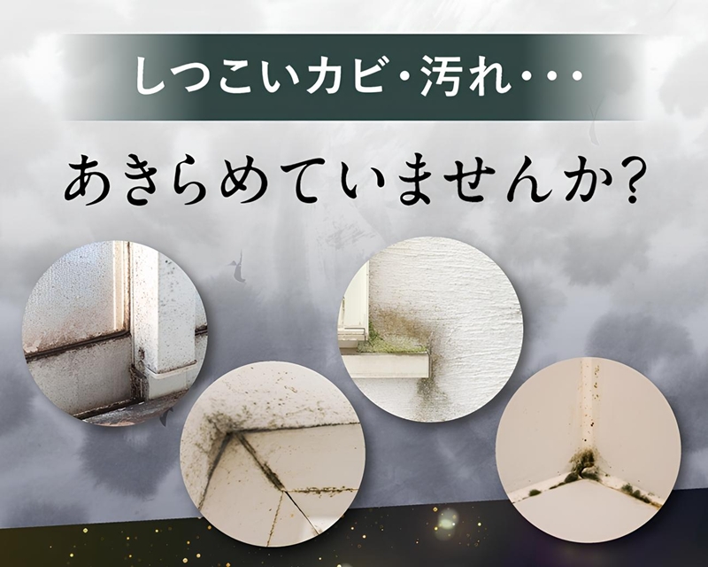 しつこいカビ汚れ