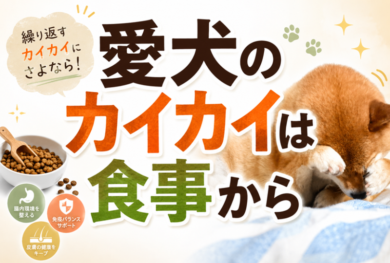 愛犬のカイカイは食事から改善