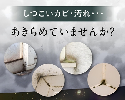 モルクリアプロ