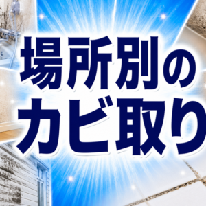 場所別のカビ取り｜天井・壁紙・木材・外壁の正しいやり方
