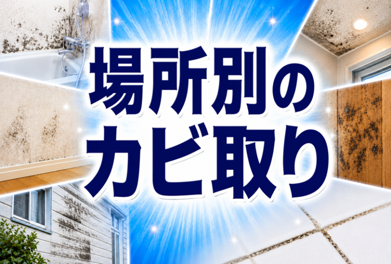 天井・壁紙・木材・外壁…場所別のカビの落とし方と注意点