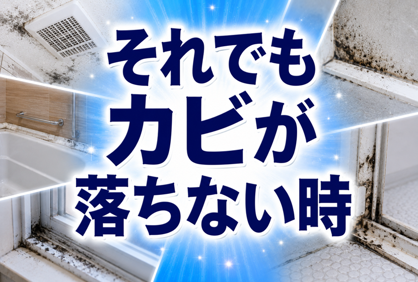 カビが落ちない時の交換目安とプロ依頼の判断