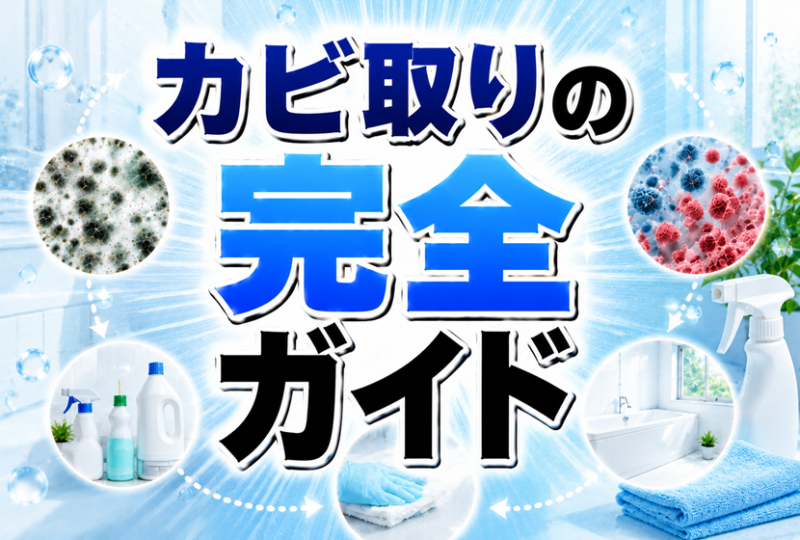 カビ取りの完全ガイド
