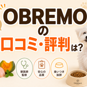 OBREMOの口コミ・評判は本当？良い声・悪い声を正直に検証