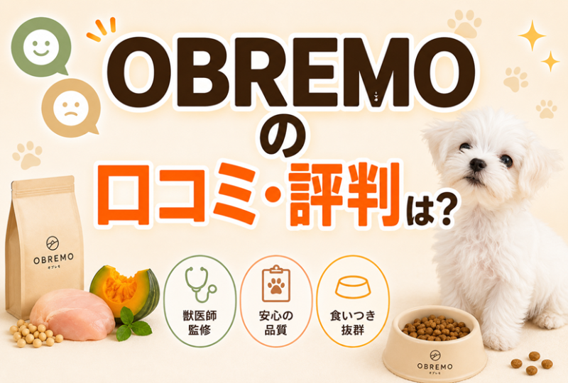 OBREMOの口コミ・評判は？