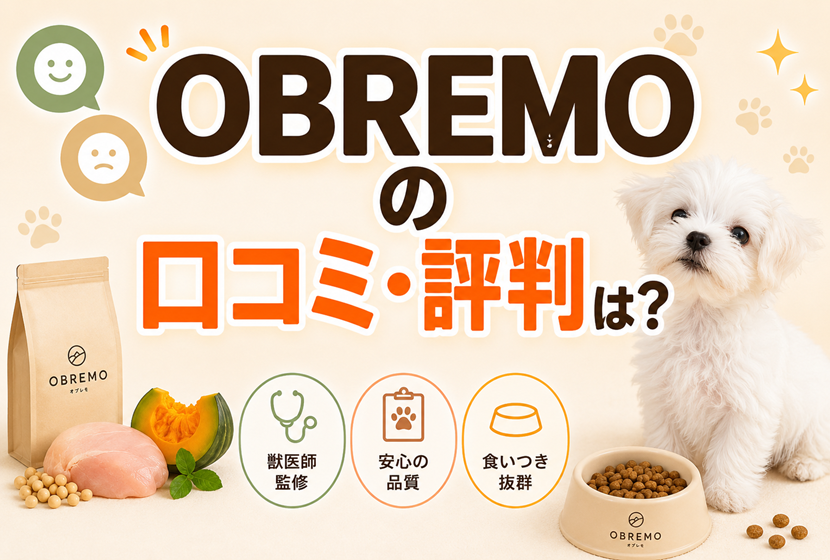 OBREMOの口コミ・評判は？