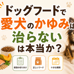 「ドッグフードで愛犬のかゆみは治らない」は本当か｜誤解を冷静に検証