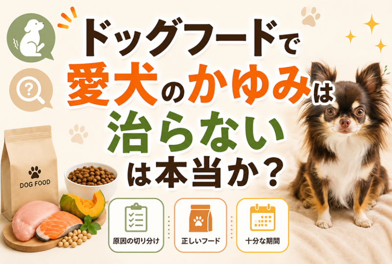 「ドッグフードで愛犬のかゆみは治らない」は本当か