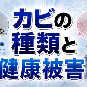 カビの種類と健康被害｜黒カビと赤カビ（ピンクぬめり）の違い