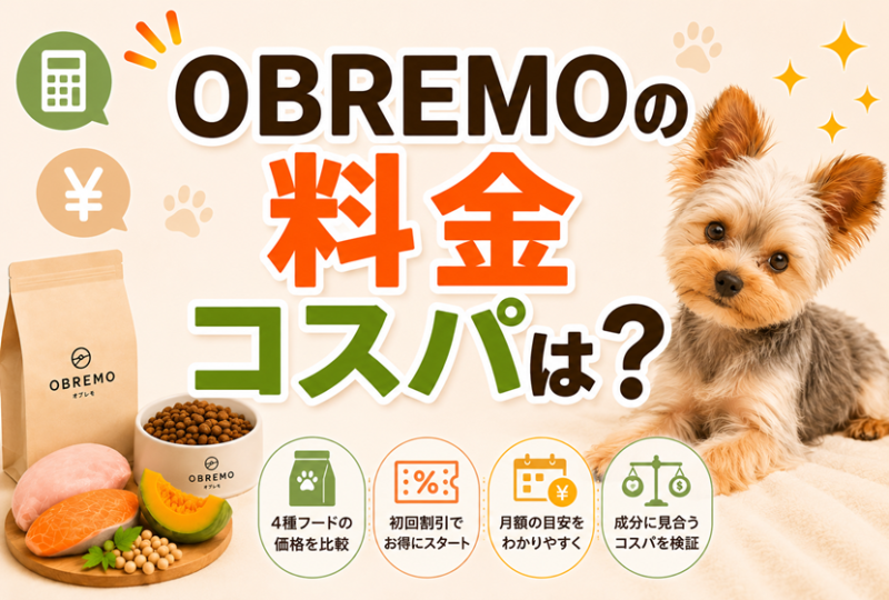 OBREMOの料金・コスパは高い？