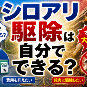 シロアリ駆除は自分でできる？DIYと業者依頼の違いを正直に解説