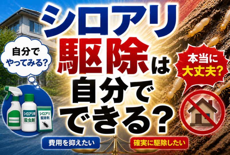 シロアリ駆除は自分でできる？