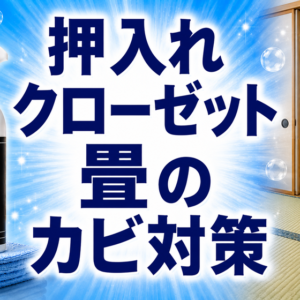 押入れ・クローゼット・畳のカビ｜居室の湿気対策と落とし方