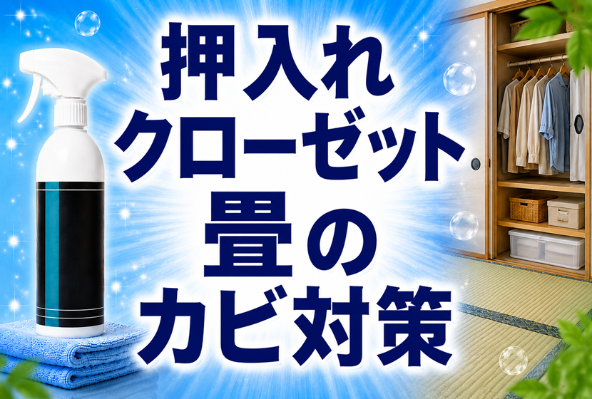 押入れ・クローゼット・畳のカビ対策