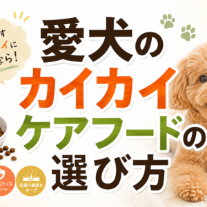 愛犬の皮膚かゆみケアフードの選び方｜後悔しない3つの判断基準