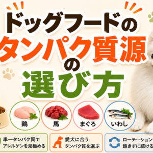 ドッグフードのタンパク質源の選び方｜鶏・馬・魚と単一タンパク質