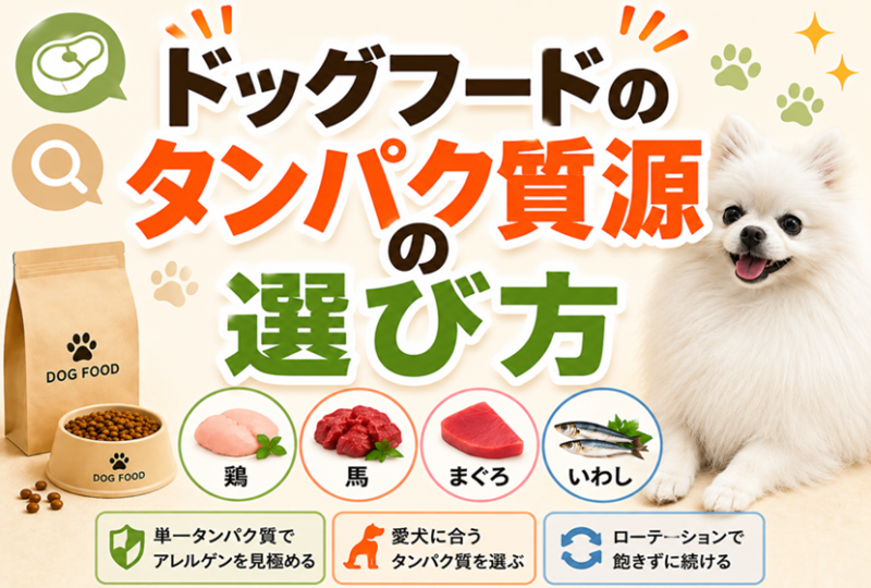 ドッグフードのタンパク質源の選び方