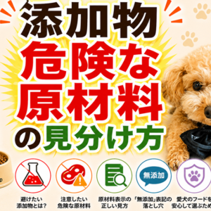 ドッグフードの添加物・危険な原材料の見分け方｜表示の読み方