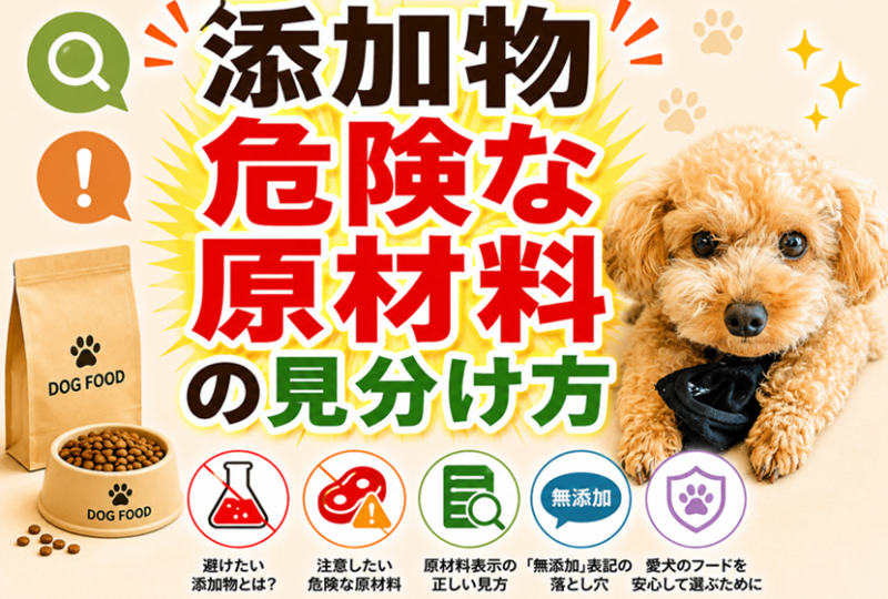 ドッグフードの添加物・危険な原材料の見分け方