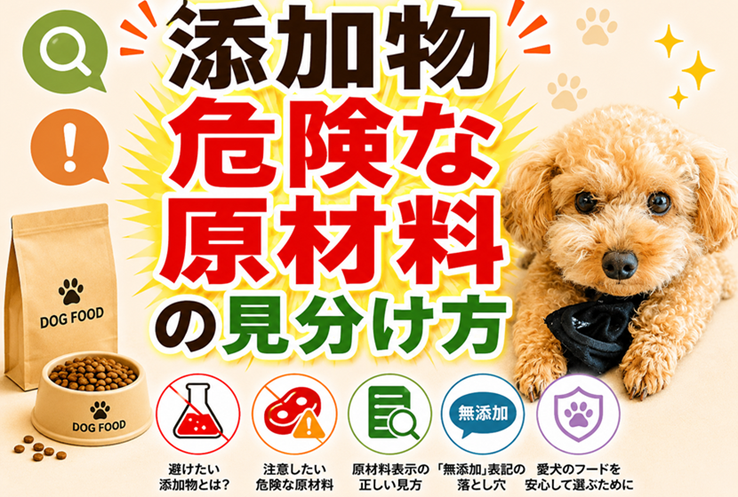 ドッグフードの添加物・危険な原材料の見分け方