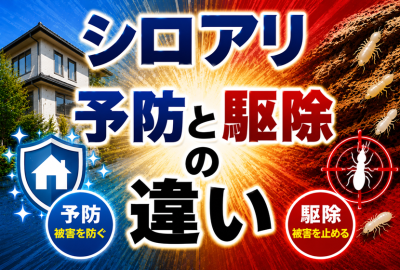 シロアリ予防と駆除の違い