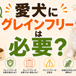 愛犬にグレインフリーは必要？穀物の是非を正しく理解する