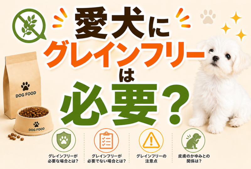 愛犬にグレインフリーは必要？