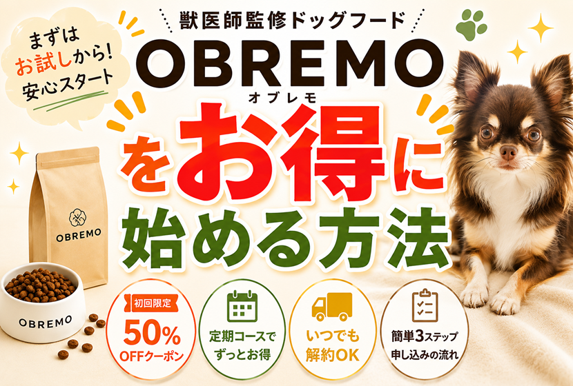 OBREMOをお得に始める方法