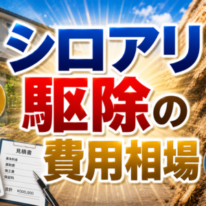 シロアリ駆除の費用相場｜坪単価・30坪の目安と内訳をプロ基準で解説