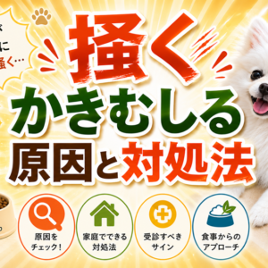 愛犬が皮膚を掻く・かきむしる原因と対処法｜食事で見直すケア