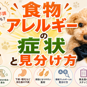 愛犬の食物アレルギーの症状と見分け方｜原因食材と対策