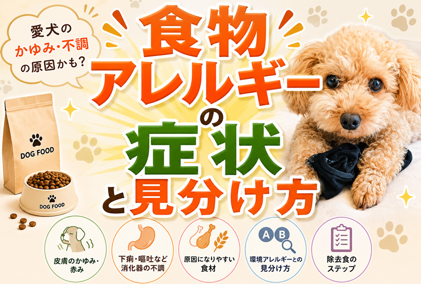 愛犬の食物アレルギーの症状と見分け方