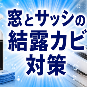 窓とサッシの結露カビ対策｜ゴムパッキンの黒カビと再発防止