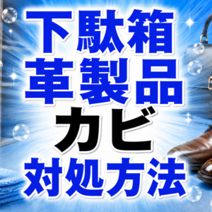 下駄箱・革製品のカビ｜「水拭きできない場所」の落とし方
