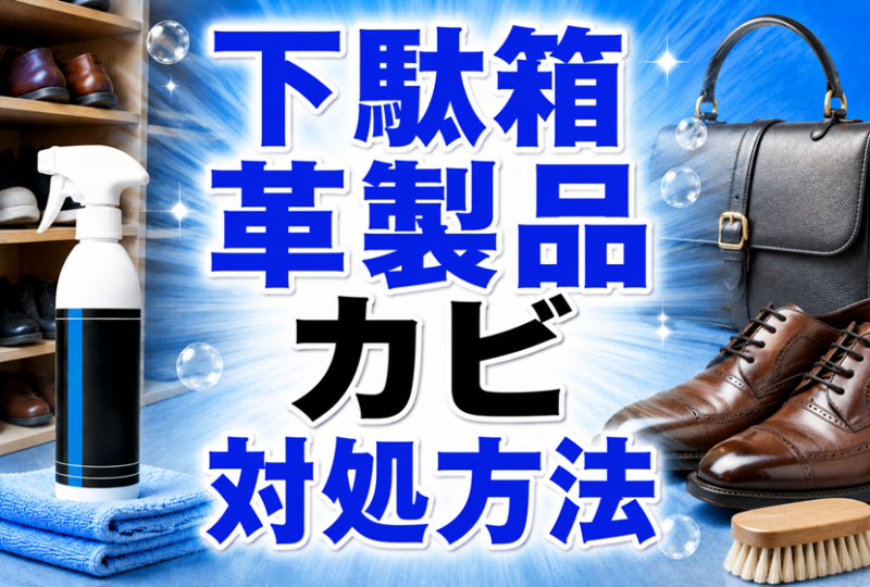 下駄箱・革製品のカビ対処方法