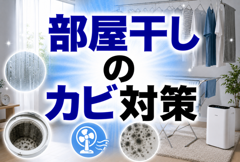 部屋干しのカビ対策