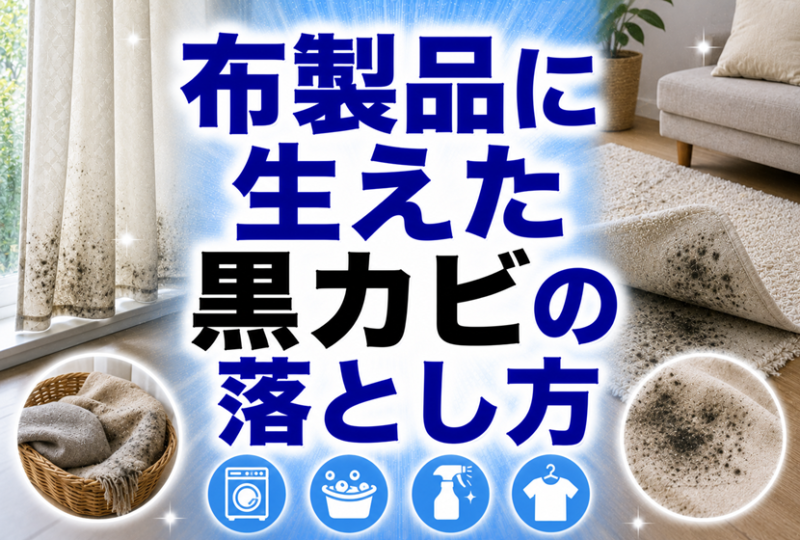 布製品に生えた黒カビの落とし方