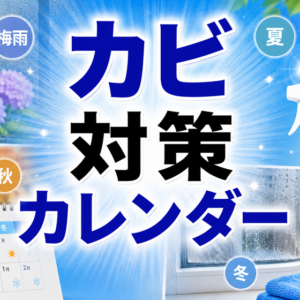 シーズン別カビ対策カレンダー｜梅雨・夏・冬で変わる注意点