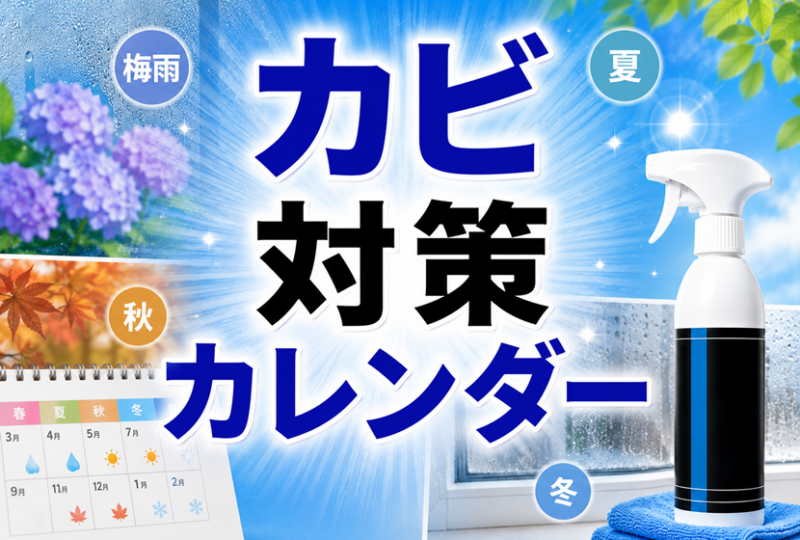 シーズン別カビ対策カレンダー