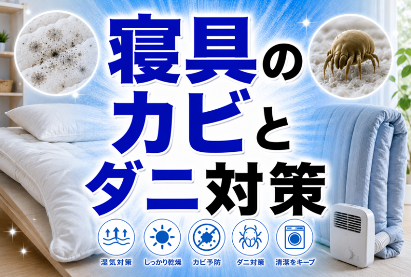 寝具のカビとダニ対策