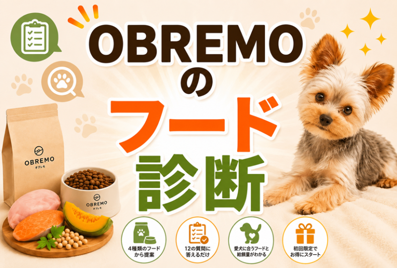OBREMOのフード診断